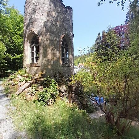 Rapunzel Trifft Dornroeschen Villa Rosenthal-Bielatal Kültér fotó