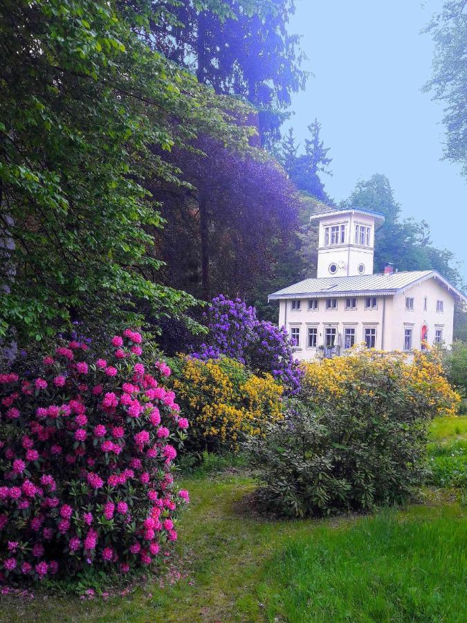 Rapunzel Trifft Dornroeschen Villa Rosenthal-Bielatal Kültér fotó