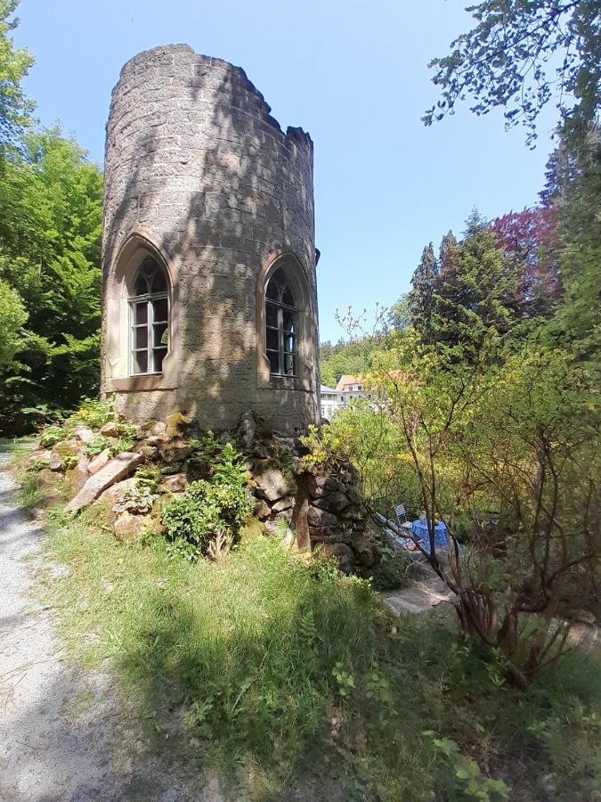 Rapunzel Trifft Dornroeschen Villa Rosenthal-Bielatal Kültér fotó
