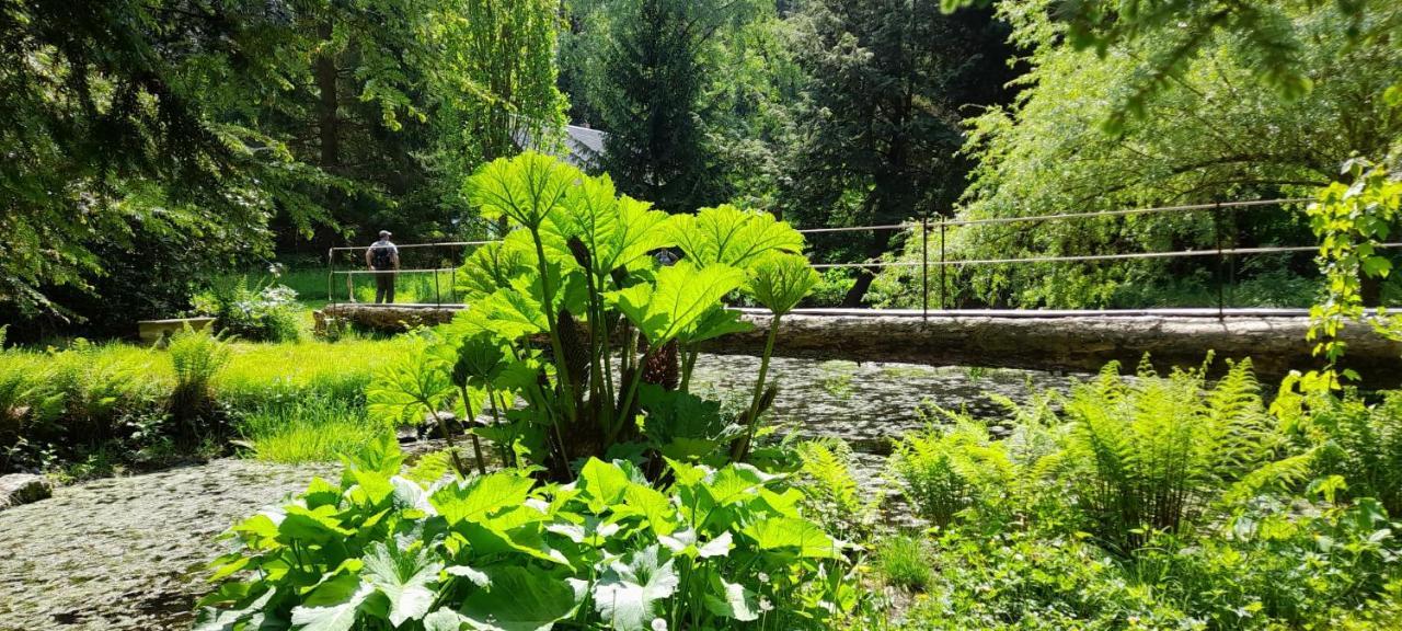 Rapunzel Trifft Dornroeschen Villa Rosenthal-Bielatal Kültér fotó