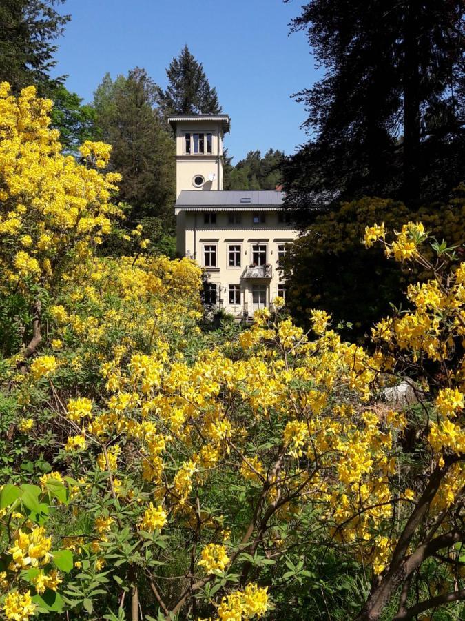 Rapunzel Trifft Dornroeschen Villa Rosenthal-Bielatal Kültér fotó